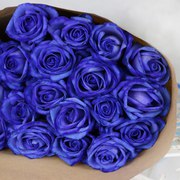 Синие розы Казань